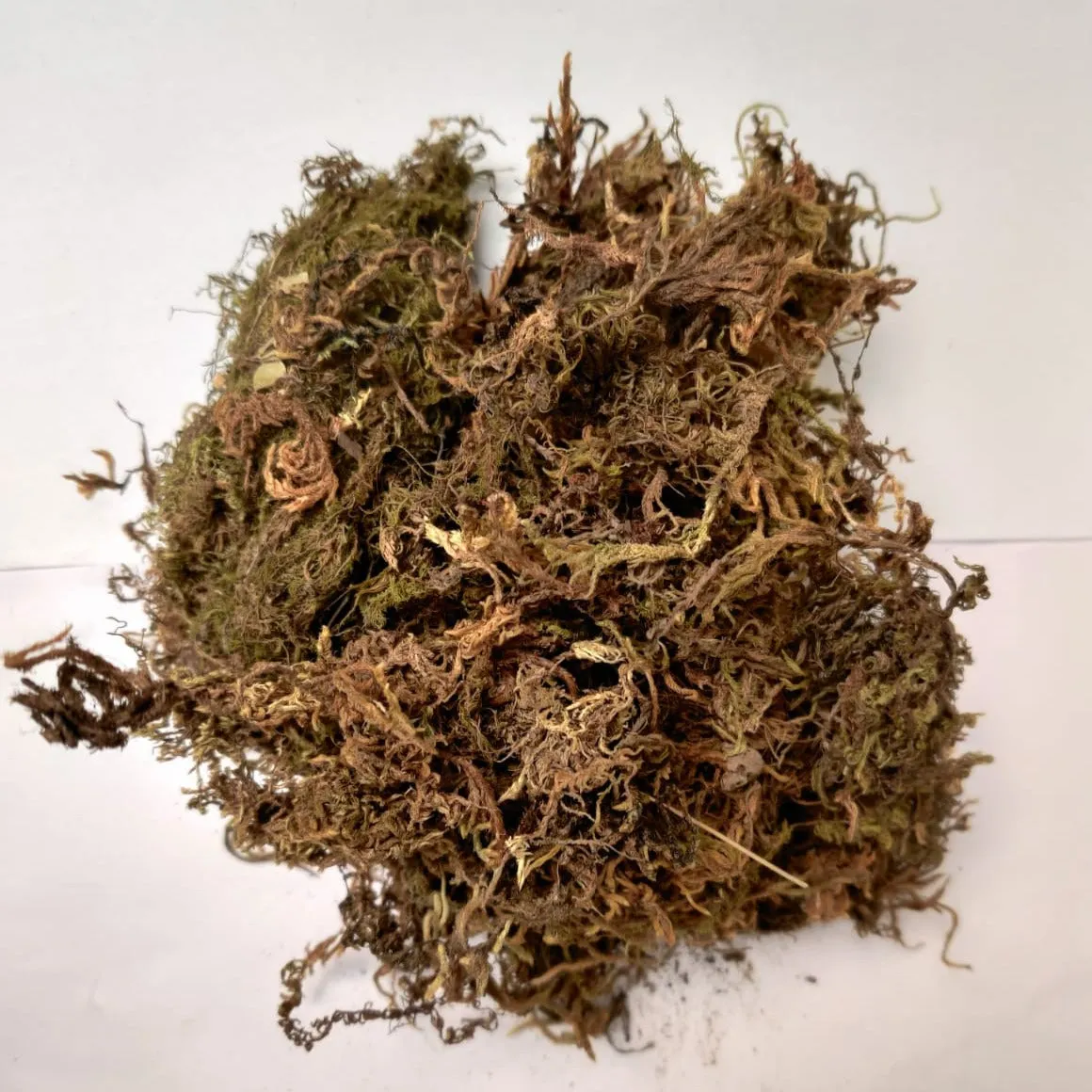 2 Kg Sphagnum Moss -Growing Medium for Plants